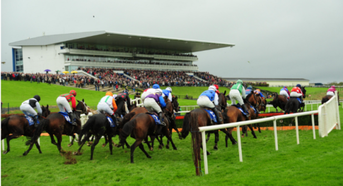 limerick racecourse
