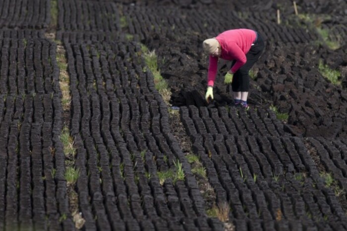 File photo: Minister for Culture, Heritage and the Gaeltacht, today (Thursday) announced the publication of the National Raised Bog Special Areas of Conservation (SACs) Management Plan 2017-2022. End.